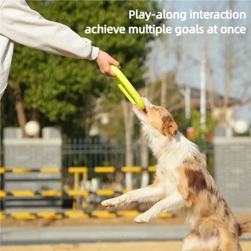 EVA Dog Flying Disc Waterproof Floating Design Chew Resistant Interactive Tug Ring Outdoor Training Fitness Pet Toy