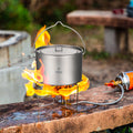 TOMSHOO Camping Cookware Titanium Pot 0.75L/0.9L/1.1L/1.6L/2L/2.8L Ultralight Hanging Pot w Lid Foldable Handle Outdoor Cooking