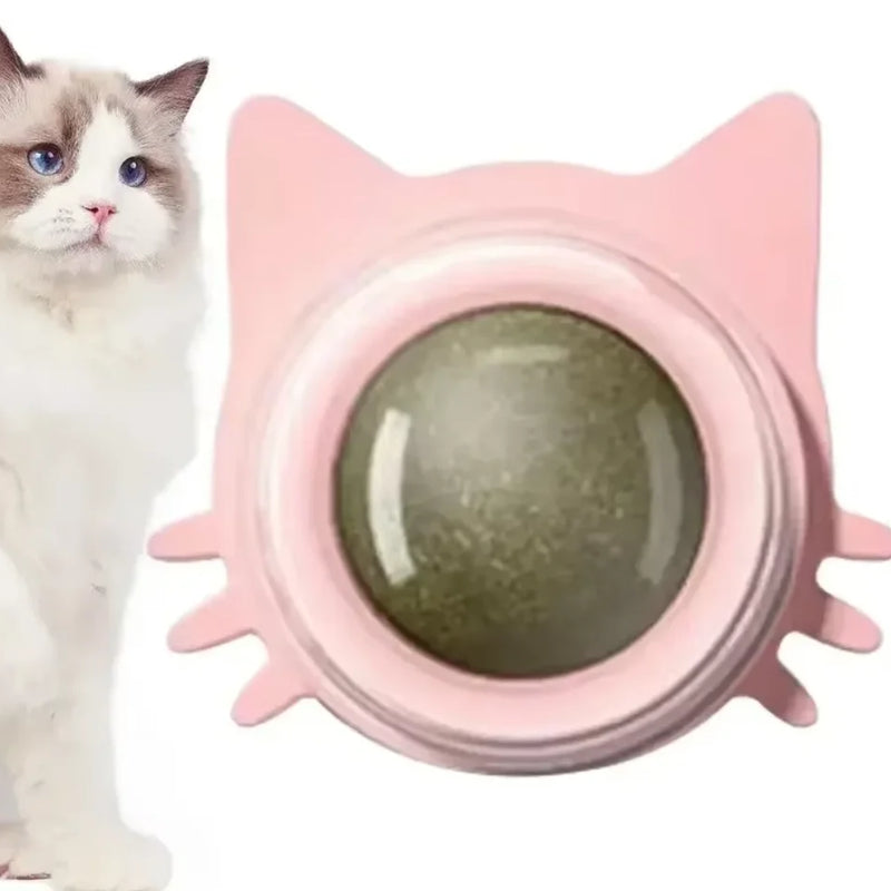 Catnip Toys for Cats Indoor Interactive Wall Spin Ball Natural Mint Enhances Digestion Appetite Stimulant Cat Dental Care