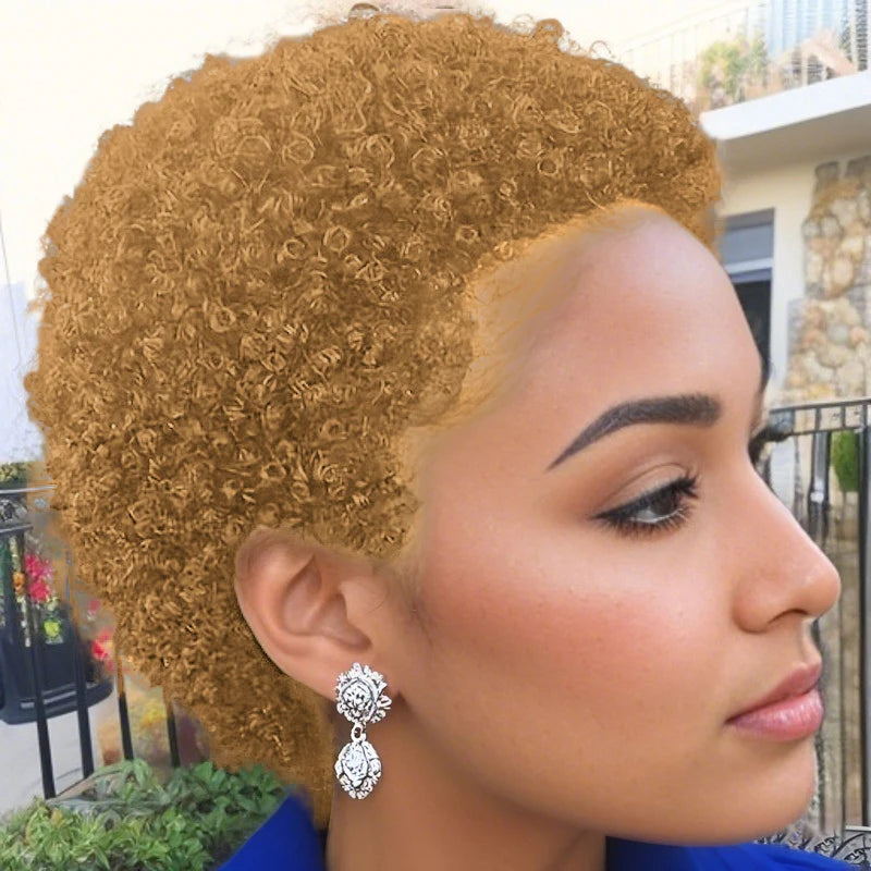 Pixie Cut Wig Wig Human Hair Wig Short Afro Kinky Curly Wigs For Women Full Machine Made Wig
