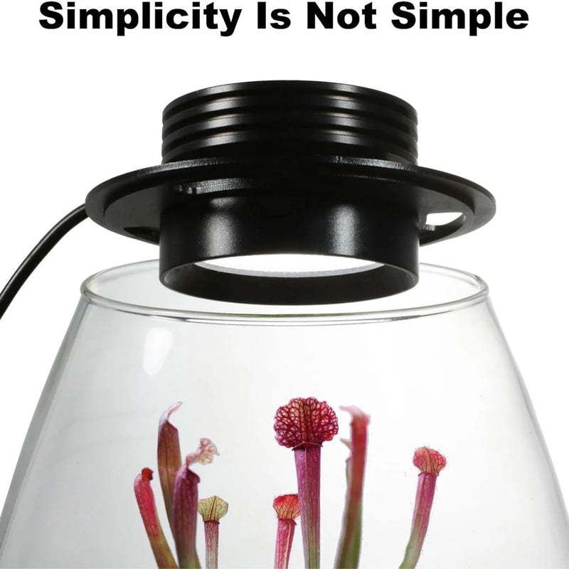 Glass Terrarium for Succulent, Moss, Miniature Gardening Landscape with Grow Light Indoor Plant Growth, Office Home Decoration