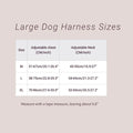 Genuine Leather Y-Shaped Dog Harness  Adjustable Neck  Chest Pull-Proof, Durable for Large Dogs Handcrafted Full Grain Leather