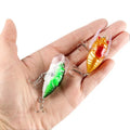 4cm/5.5g Bionic Cicada Hard Bait Fishing Lure Simulation - View 3 | SAMAG
