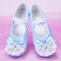 Ballet Shoes for Dancing Child Girl Adult Dance Shoes for Girls Ballet Accessories Modern Dance Girl Ballet Shoes Bow Colorful