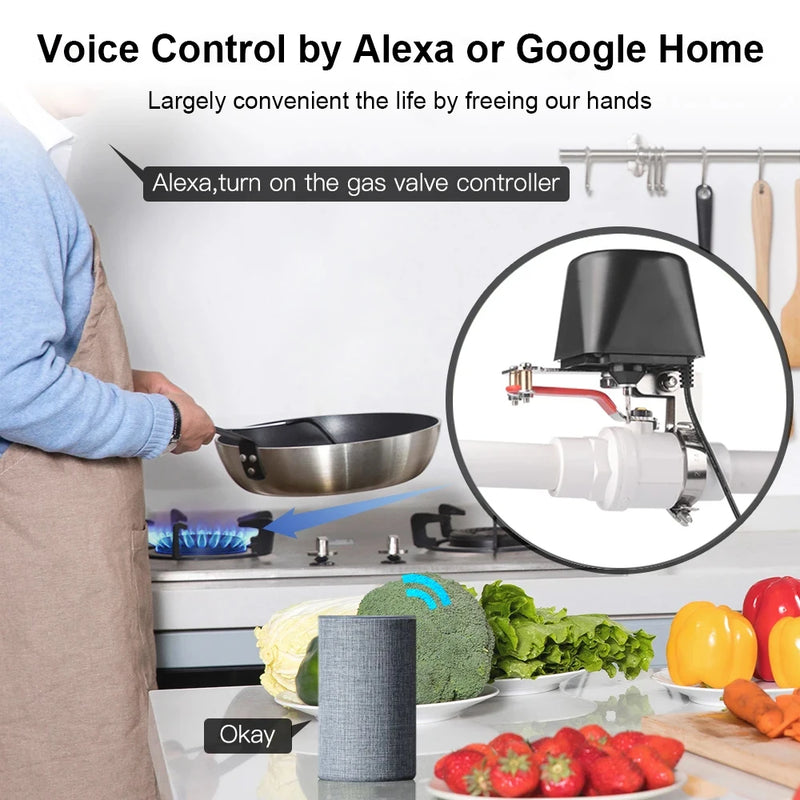 Tuya ZigBee Smart Wireless Control Gas Water Valve Smart Home Automation Control Valve for Gas Work with Alexa,Google Assistant