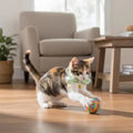 F19B Dog Cats Collar Comfortable Flower Charm Design Adjustable for Puppies Kittens Adults
