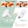 50x70cm Softbox 45W/70W Bulb Photography Studio Photo Lighting Kit Continuous Light System For Camera With  Remote Control