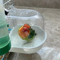 Transparent Bird Bath Tub - Splash-Proof PP Shower for Parrots, Lovebirds & Conures w/ Easy-Grip Handle
