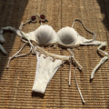 Sexy Ribbed Push Up Shell Pattern Bikinis Sets Two Pieces | SAMAG