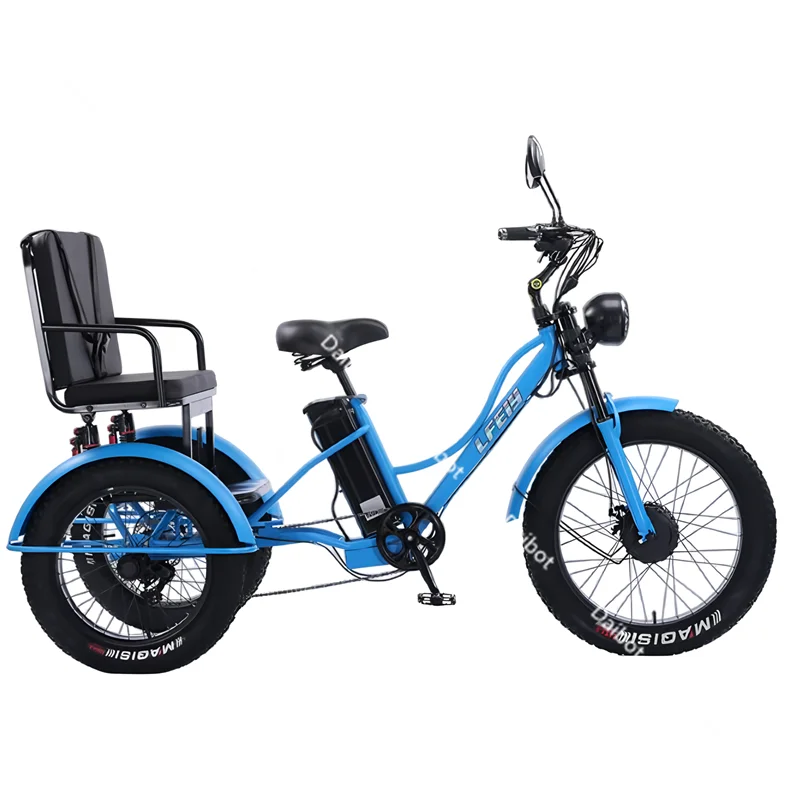 Fat Tire Electric Tricycle Adults With Passengers Powerful 48V 750W Family Electric Bicycle Removable Battery With Safe Belt