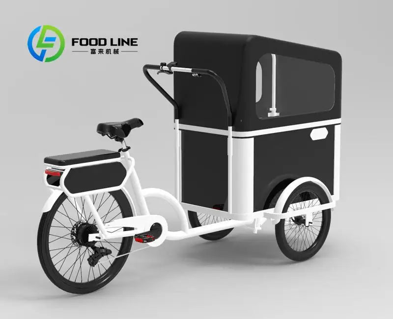 Electric Pedal 3 Wheels Cargo Bike with Rear Motor for Carrying Pets Electrical Bicycles