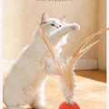 Elastic Bouncy Badminton Cat Toy Luminous Night Glow Pet Interactive Ball Self Play Boredom Relief Chew Resistant Training Game