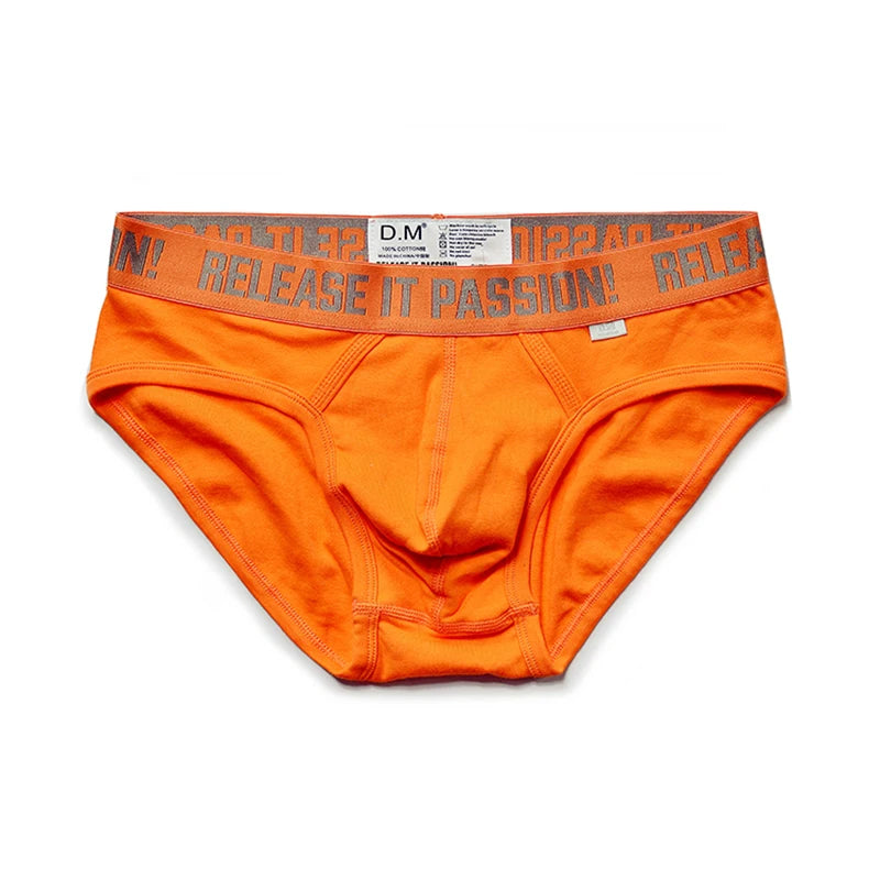 Male Underwear Gay Cuecas Masculinas Solid Sexy Men's Briefs Low-Rise Ropa Interior Hombre Underwear Men Sissy Slip Homme Sport
