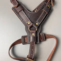 Genuine Leather Y-Shaped Dog Harness  Adjustable Neck  Chest Pull-Proof, Durable for Large Dogs Handcrafted Full Grain Leather