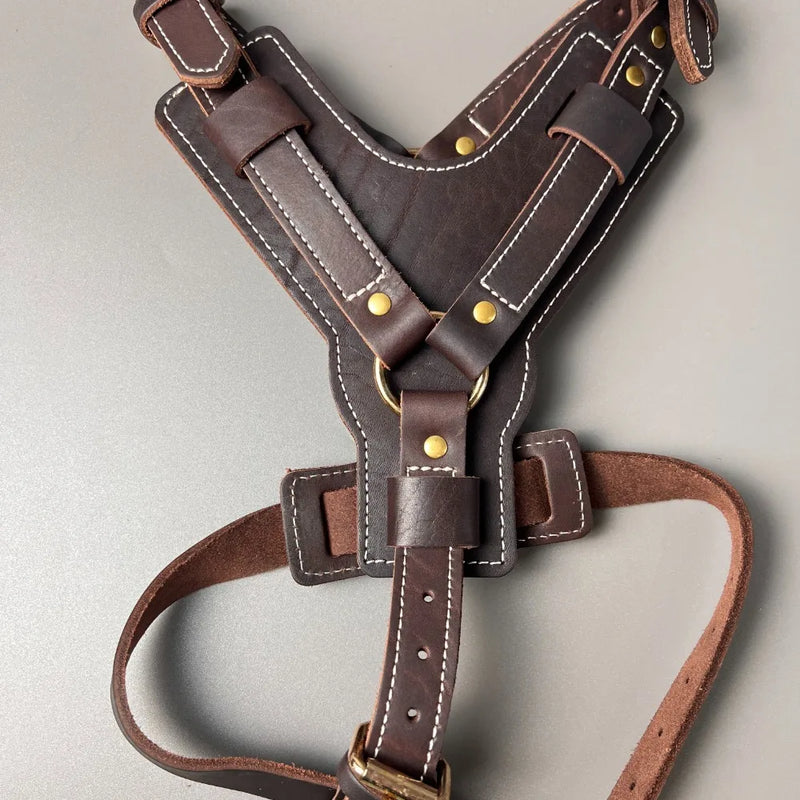 Genuine Leather Y-Shaped Dog Harness  Adjustable Neck  Chest Pull-Proof, Durable for Large Dogs Handcrafted Full Grain Leather