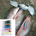 Laser Minnow Fishing Lure 10/ Artificial Bionic 9cm/7g | SAMAG