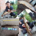 BIUTIFU BIGFISH Carp Surfcasting Fishing Rods 3.0m 3.3m | SAMAG
