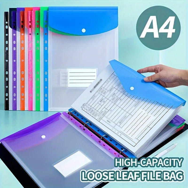 12 Pack A4 Expanding File Folders 11 Ring Binder Pockets Heavy Duty PP Plastic uses for school office document organizer