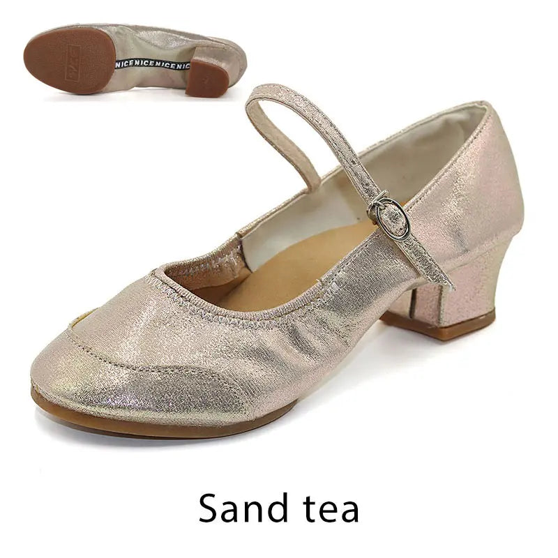 Dance Shoes Women Low-heeled Square Dancing Shoes Latin Salsa Dance Shoe Soft Sole Outdoor Dance Sneakers Spring Size 34-42