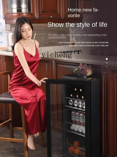 Minitype Refrigerator Mini Home Living Room Office Tea | SAMAG