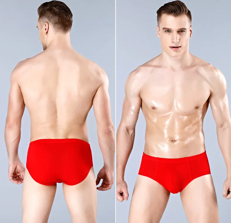 Top Qaulity ! Men Briefs Underwear Underpant Bamboo Fiber Brief 5pcs/lot  Free Shipping