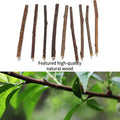 33pk Catnip & Silvervine Sticks - Natural Chew Toys w/ 3 Mouse Toys