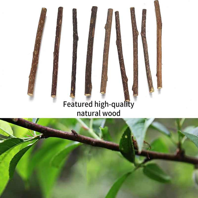 33pk Catnip & Silvervine Sticks - Natural Chew Toys w/ 3 Mouse Toys