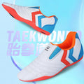 Chinese Wushu Shoes Tai Chi PU Leather Kungfu Taiji | SAMAG