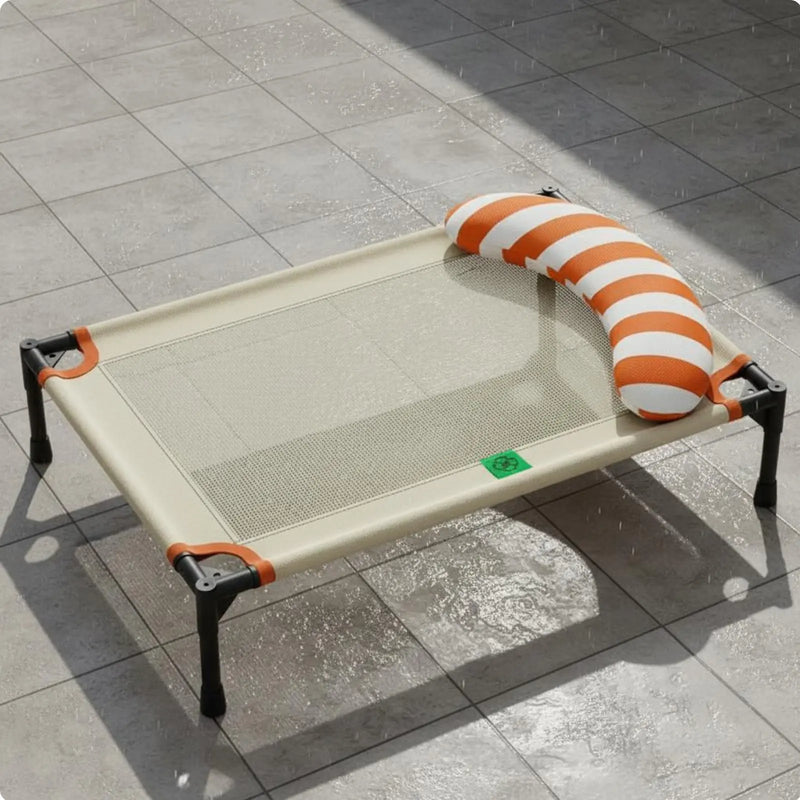 Elevated Dog Bed Moisture-Resistant Raised Pet Cot Dog Camping Bed Scuff-Resistant Resistant All-Season Use for Animals, Indoor