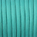 CAMPINGSKY Paracord 4mm 100ft 550 Paracord Parachute Cord Lanyard Rope for Hiking Camping