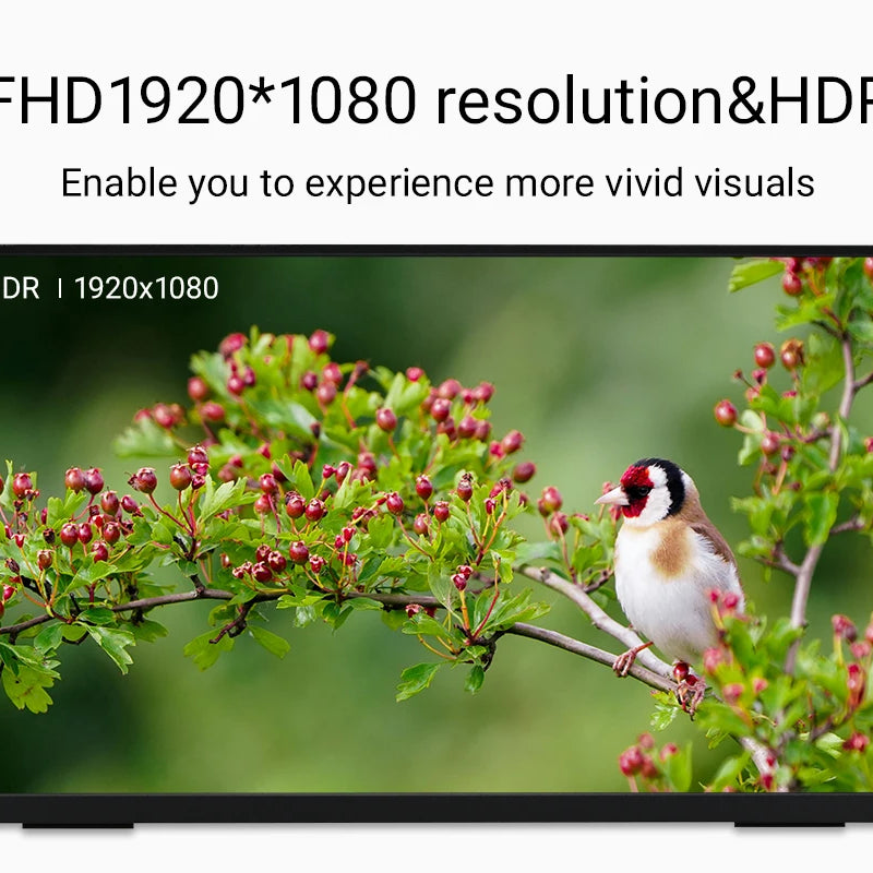 ZSUS 18-Inch 1080P 100Hz 100%sRGB Portable Monitor 16:9 HDR 350cd /M² For XBox PS4 / 5 Switch Cell Phone PC Loptop Extension