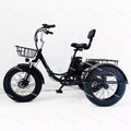 20-Inch folding fat tire electric tricycle, pedal tricycle snow lithium battery bicycle 48V