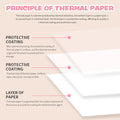 57*25MM HD Mini Printer Thermal Paper Self-adhesive Roll Paper Label Sticker Photo Inkless Printing Portable Printer Color Paper