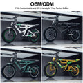 48V 1000W Fat Tire Electric Bicycle Aluminum Alloy Full Suspension Off-Road E-Bike for Adults 20 Inch Lithium Battery
