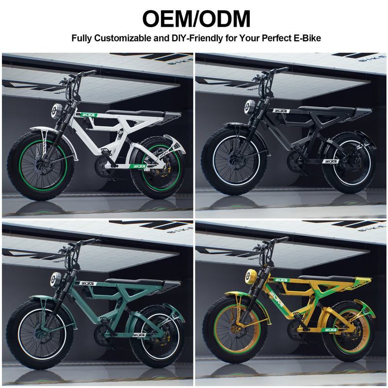 48V 1000W Fat Tire Electric Bicycle Aluminum Alloy Full Suspension Off-Road E-Bike for Adults 20 Inch Lithium Battery