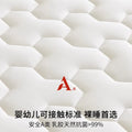 latex sponge 4/7cm Tatami Mat High grade Thicken Memory Foam Mattress Twin King Queen Size winter Keep warm bed cover cushion