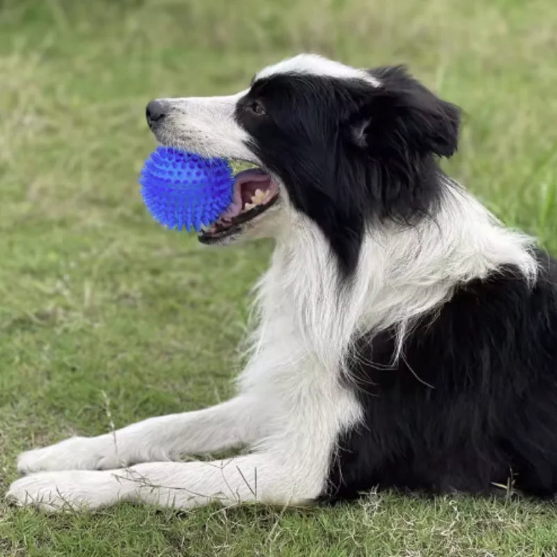 Pet Toy Ball for Cats And Dogs - Sounding Tooth Cleaning Chew Ball Training Teeth Accessories Thornless Chewing Toy for Puppy
