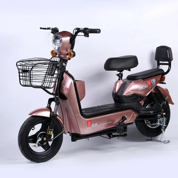 Electric bicycle two-wheel electric bike new national standard adult electric scooter wholesale manufacturer