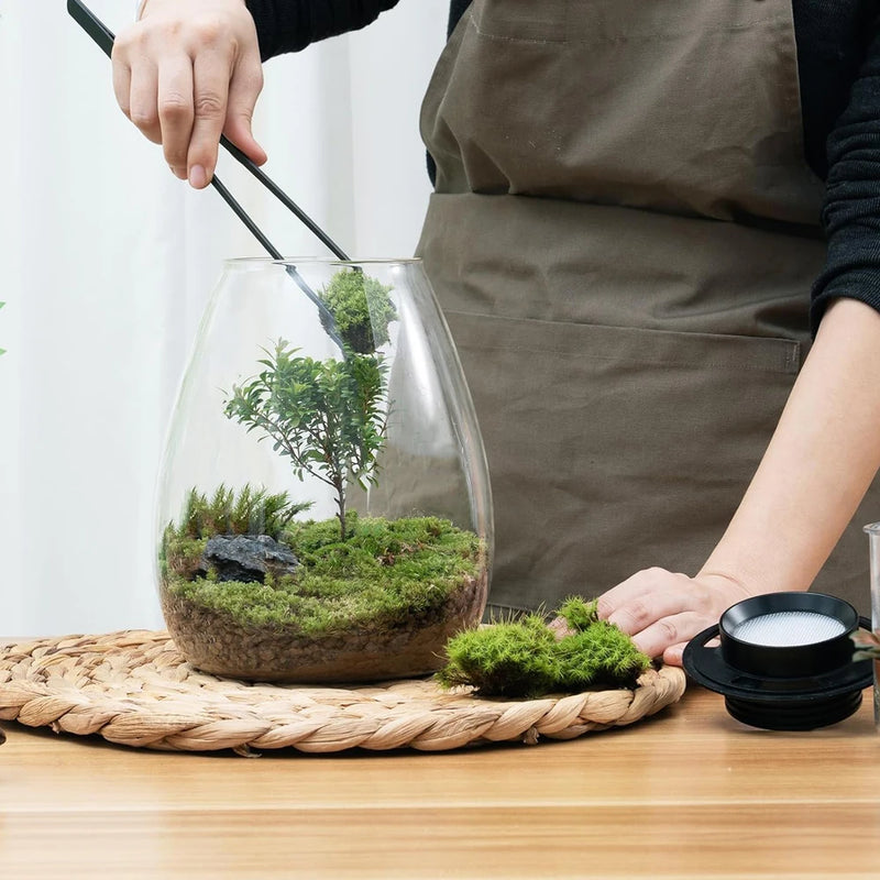 Glass Terrarium for Succulent, Moss, Miniature Gardening Landscape with Grow Light Indoor Plant Growth, Office Home Decoration