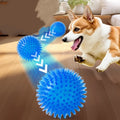 Pet Toy Ball for Cats And Dogs - Sounding Tooth Cleaning Chew Ball Training Teeth Accessories Thornless Chewing Toy for Puppy