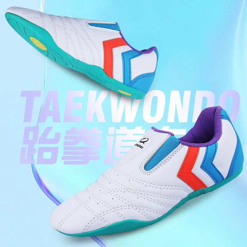 Chinese Wushu Shoes Tai Chi PU Leather Kungfu Taiji | SAMAG