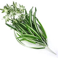 Artificial Plants Wall Hanging Chlorophytum Potted Green Plants PVC Fake Plants Simulation Flower Living Room Decor 65cm