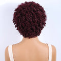 Lekker Black Short Pixie Cut Curly Bob 100% Human Hair Wigs For Women Brazilian Remy Hair Full Machine Made Glueless Daily Wigs