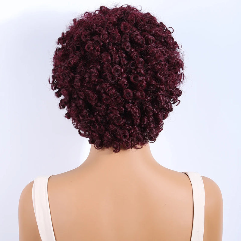 Lekker Black Short Pixie Cut Curly Bob 100% Human Hair Wigs For Women Brazilian Remy Hair Full Machine Made Glueless Daily Wigs