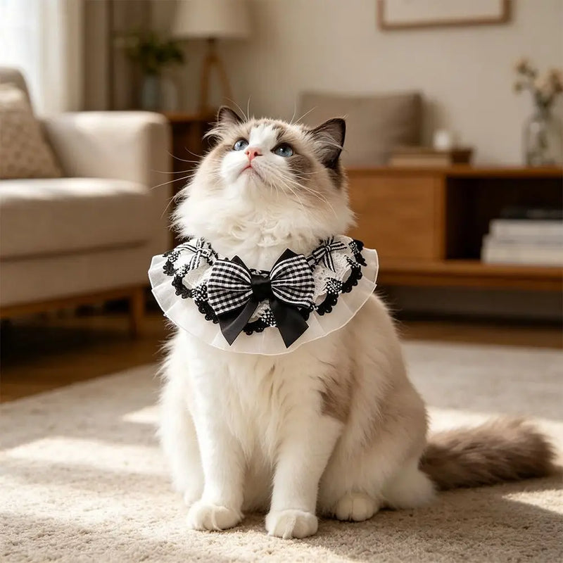 Cute Spring Summer Pet Water Scarf Bowknot Lace Trim Cat Scarf Breathable Princess Small Dog Scarf for Small Dog