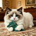 2026 Hot TK Viral Crocodile Plush Pet Toy Catnip Interactive Chew Toy for Dogs Cats