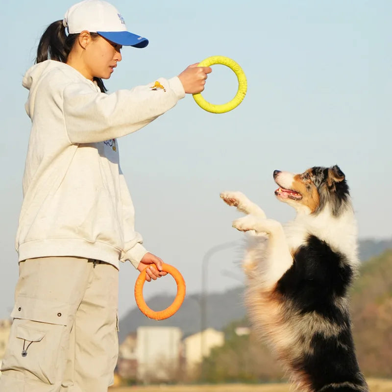 EVA Dog Flying Disc Waterproof Floating Design Chew Resistant Interactive Tug Ring Outdoor Training Fitness Pet Toy