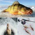 Goture Ice Fishing Rod Full Set Include 2-in-1 Reel Combo | SAMAG