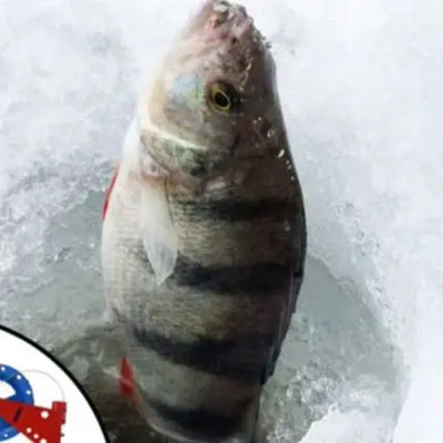Ice Fishing Flag Rod Portable Lightweight Floating | SAMAG