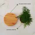 Maglev Floating Planter - Creative Home Decor Gift, Unique Desktop Ornament for Essential Home Aesthetics